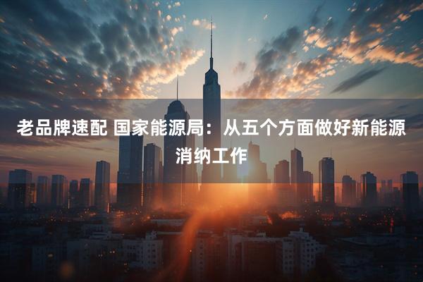 老品牌速配 国家能源局：从五个方面做好新能源消纳工作